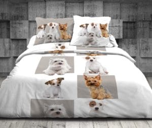 Parure housse de couette 2 place Doggy s